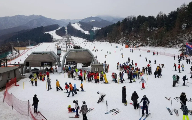 Bears Town Resort