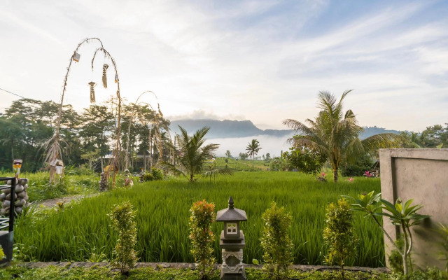 Ume Dukuh Home Sidemen