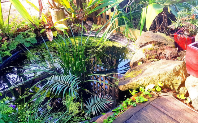 Paradise by the Beach