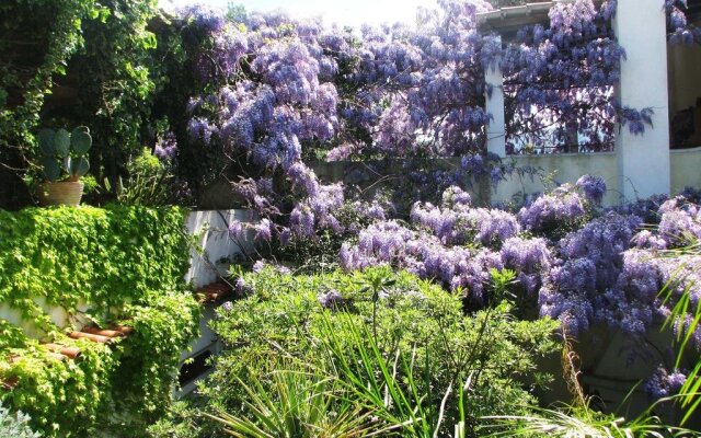 B&B La Salamandra Kitchengarden