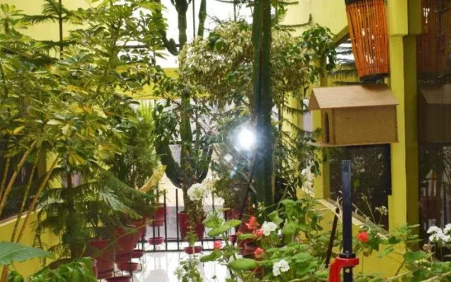 Hotel Maria Antonieta