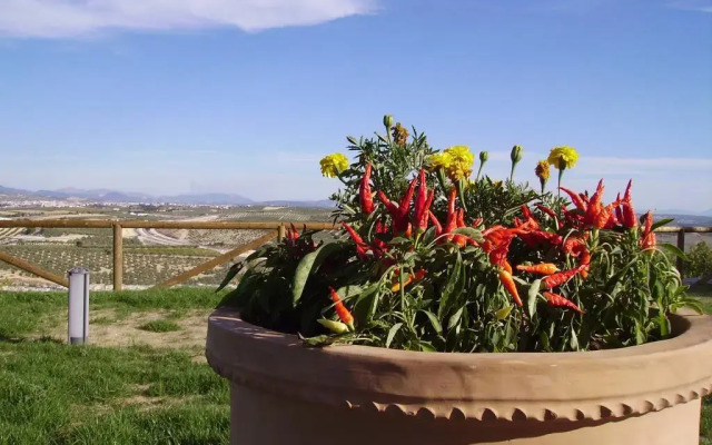 Atalaya de La Campiña