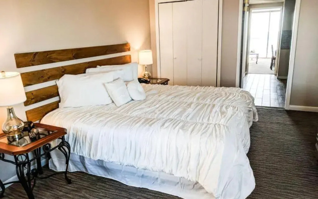 Palms 1006