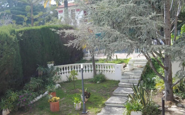 Residence Les Palmiers