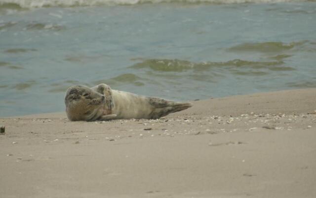 Ferienwohnungen Jagdhaus 6