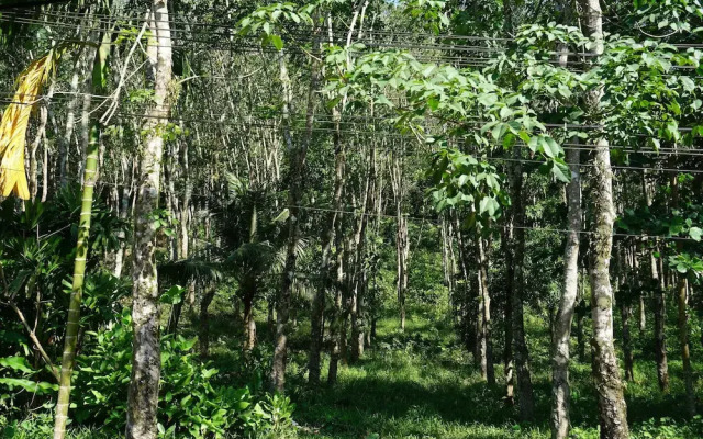 Ton Garden View Guesthouse