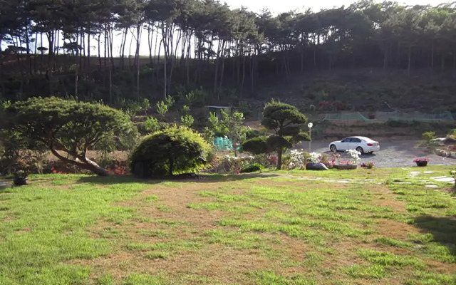 Seosan Pinehealing Pension