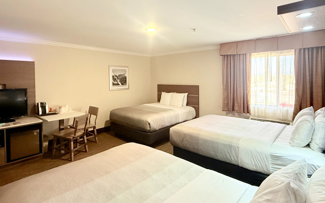 Quality Inn & Suites Los Angeles Airport - LAX