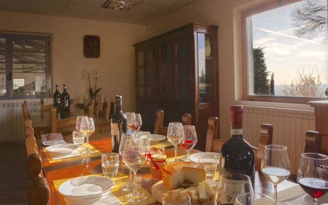 Farmhouse With Pool And Large Garden, 50 Acres Of Vineyards, Wine Tasting