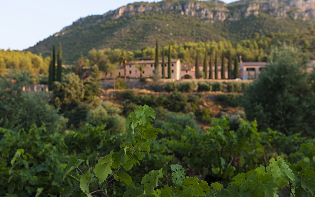 Terra Dominicata - Hotel & Winery