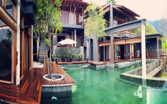 The Shorea