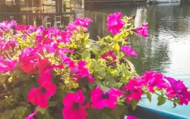 Waterside Houses