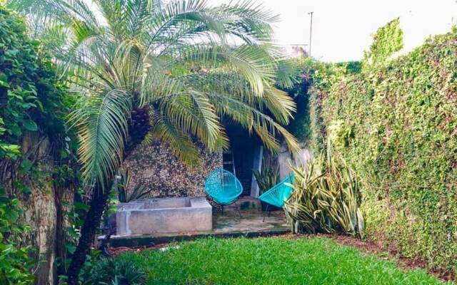 Historical Green House In Campeche