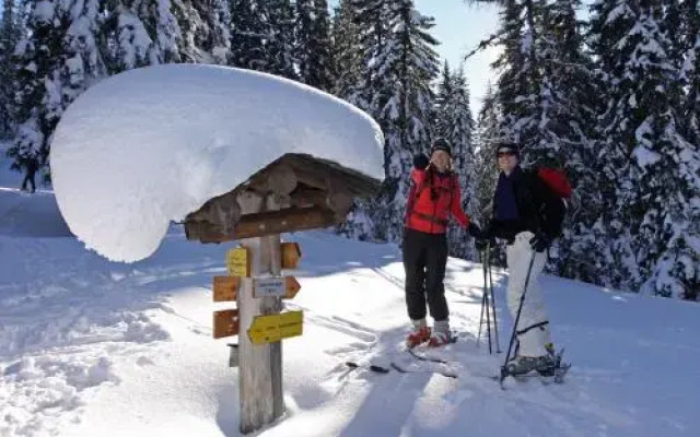 Ferienhaus Meissnitzer