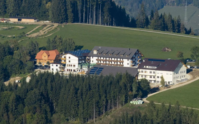 Hotel Moselebauer