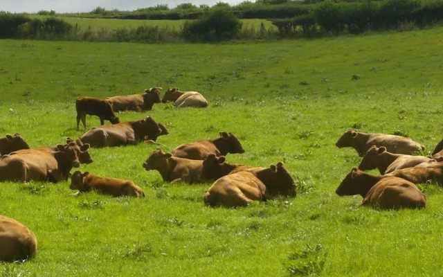 Whidlecombe Farm