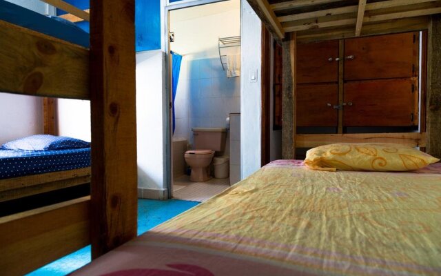 Ocean Tigers Hostel