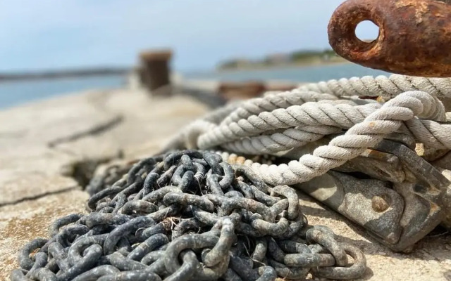 Žare - With Garden - A1