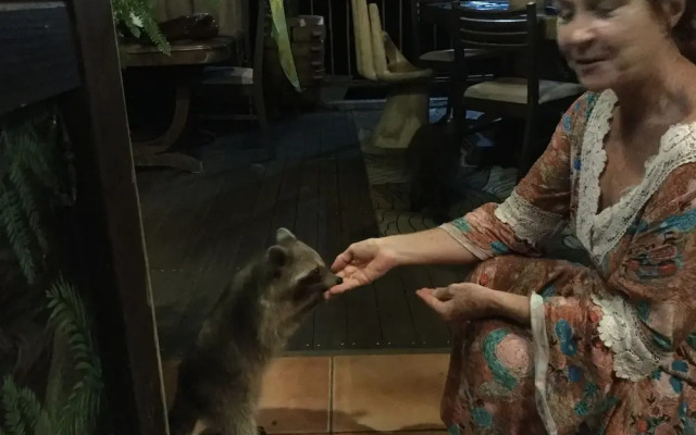 Racoon Lodge
