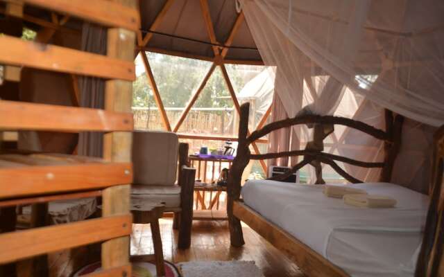 Jinja Backpackers