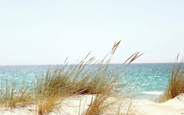 Ocean Sands Beach Boutique Inn - Stay At the Beach