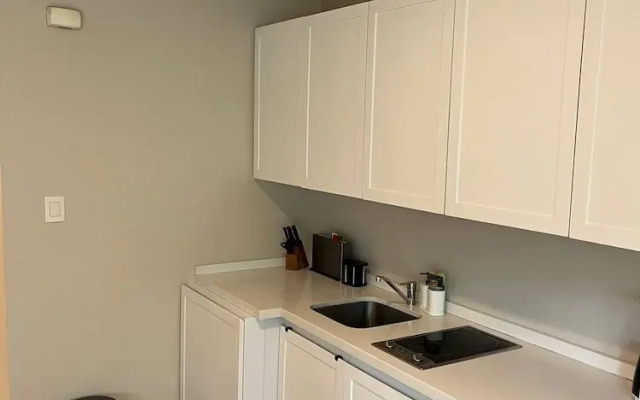 Arquimedes Blanc - Amazing 1BR in Polanco