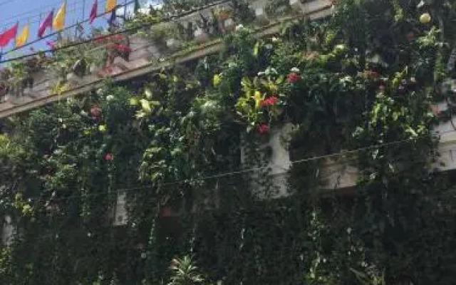 Vertical Garden Hostel