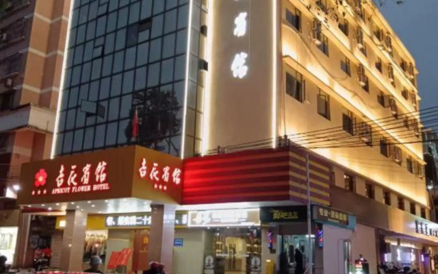 Apricot Flower Hotel