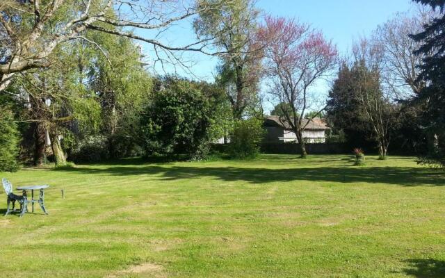 Les Roses Trémières