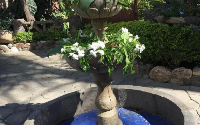 Hostal Jardín Escondido