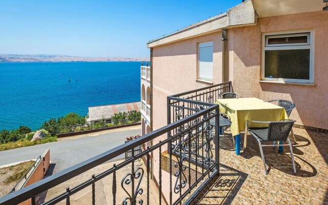 Delfin Cesarica in Cesarica