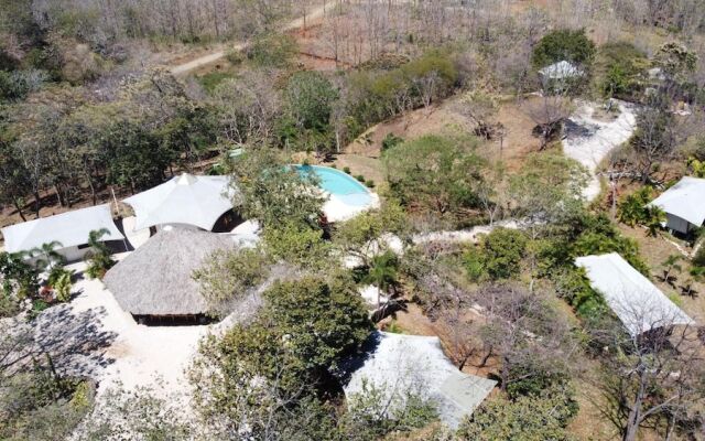Mikado Natural Lodge