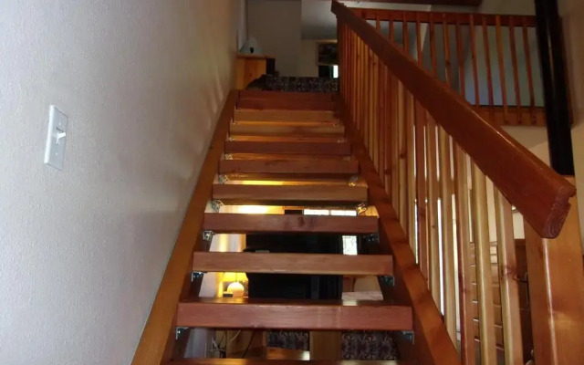 Honey Bear Lodge & Cabins