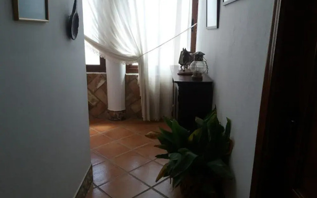 El Perro de Paterna