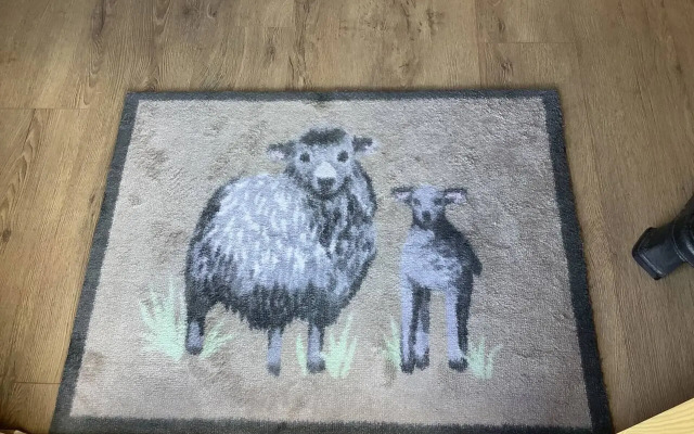 The Shepherds Hut at Hafoty Boeth