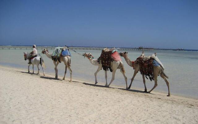 Bliss Abo Nawas Resort - All Inclusive