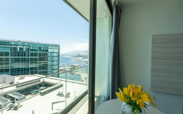 Studio 56 by Terrado