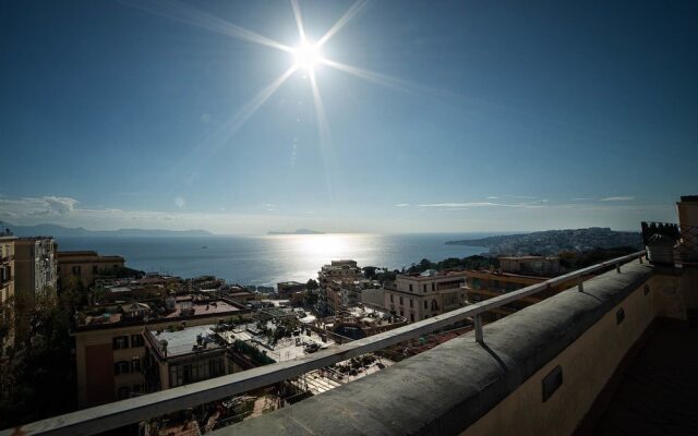Vomero Roof