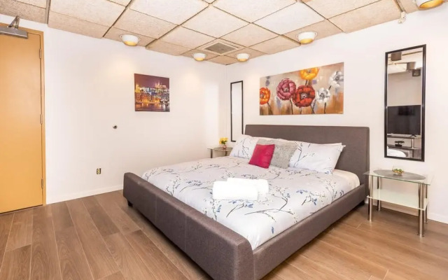 Newly Renovated - Studio Apartment Near Downtown Ottawa
