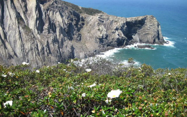 Hotel Mira Sagres