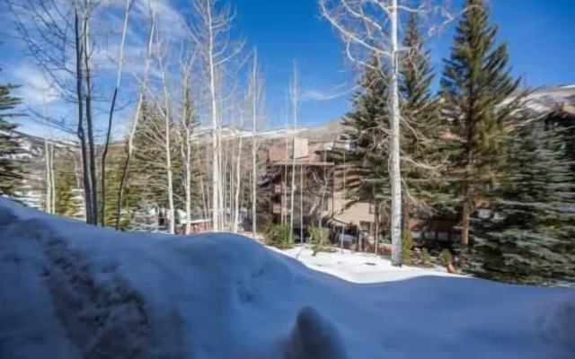 Northwoods Condo Private Ski-In Ski-Out Access to Vail Mountain by RedAwning