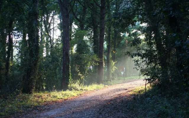 Agriturismo Fratelli Mizzon