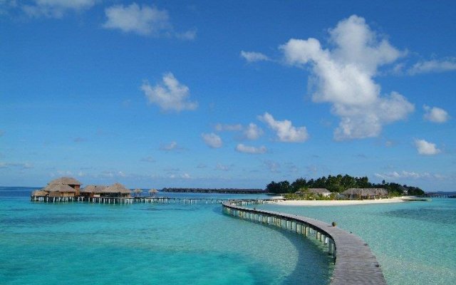 Coco Bodu Hithi