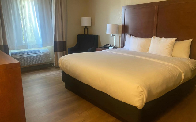 Comfort Inn & Suites Phoenix North / Deer Valley