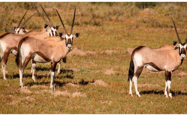 Thali Thali Game Lodge
