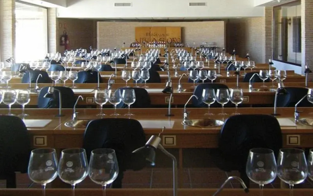 Bodegas Vi