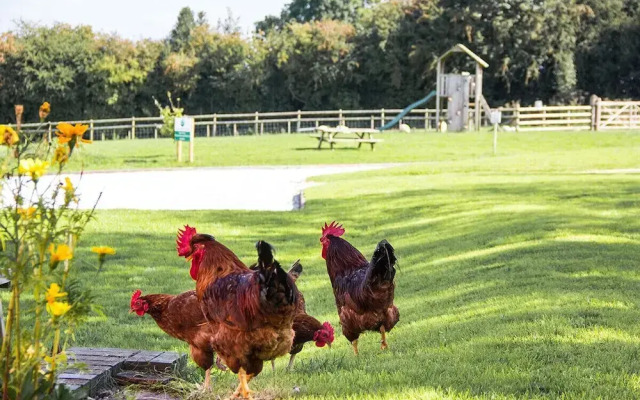 Lower Micklin Farm