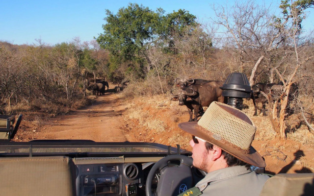 IsiLimela Game Lodge