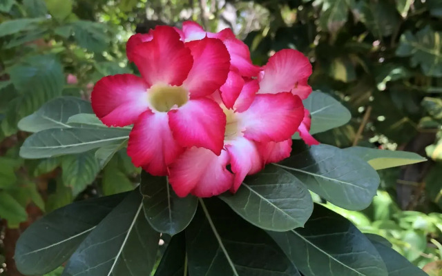 Pousada Morada do Sol