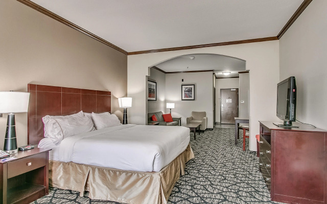 Holiday Inn Express Hotel & Suites Lubbock South by IHG